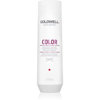 Goldwell Dualsenses Color șampon pentru protecția părului vopsit 250 ml