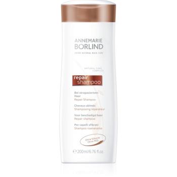 ANNEMARIE BÖRLIND SEIDE NATURAL sampon pentru regenerare pentru păr uscat și deteriorat 200 ml