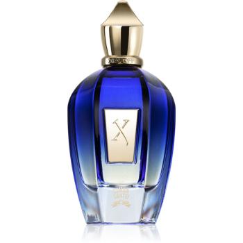 Xerjoff Comandante Eau de Parfum unisex 100 ml