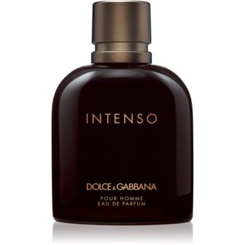 Dolce&Gabbana Pour Homme Intenso Eau de Parfum pentru bărbați 200 ml