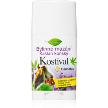 Bione Cosmetics Cannabis Kostival balsam relaxant pentru masaj stick 45 ml