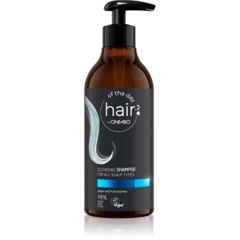 OnlyBio Hair Of The Day curatarea profunda a scalpului pentru toate tipurile de piele 400 ml