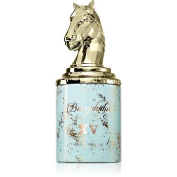 Armaf Bucephalus No. XV Eau de Parfum unisex 100 ml
