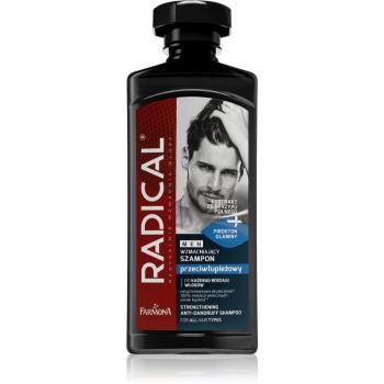 Farmona Radical Men sampon anti-matreata pentru barbati 400 ml