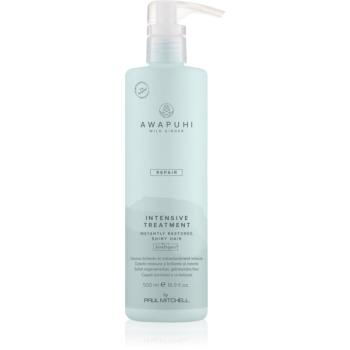 Paul Mitchell Awapuhi Wild Ginger Repair Intevsive Treatment tratament intensiv pentru par pentru par deteriorat 500 ml