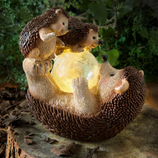 Familia de arici solari