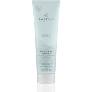 Paul Mitchell Awapuhi Wild Ginger Repair Nourishing Shampoo sampon hranitor pentru intarirea firului de par 250 ml