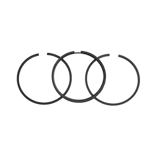 Segmenti Motor BRIGGS - STRATTON 65.10 mm 299742 (3.5CP)