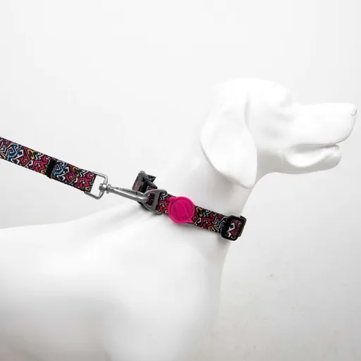 Lesă pentru câini, Paws & Whiskers, Graffiti Small, Poliester, Multicolor