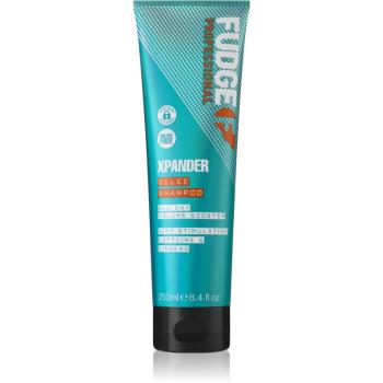 Fudge Care Xpander sampon pentru regenerare pentru parul deteriorat si fragil 250 ml