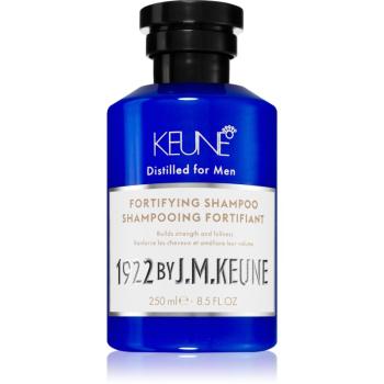 Keune 1922 Fortifying Shampoo șampon de păr pentru intarirea parului 250 ml