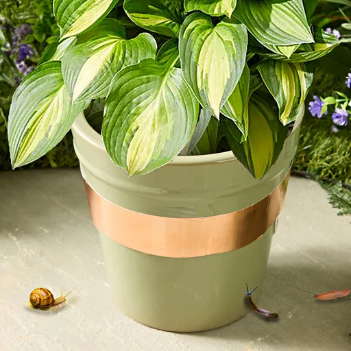 Bandă de cupru împotriva melcilor