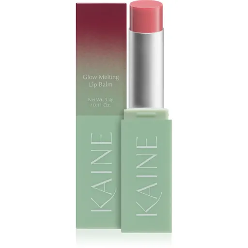 KAINE Glow Melting Lip Balm Balsam de buze hidratant efect regenerator culoare #02 Rosy Plum 3.7 g