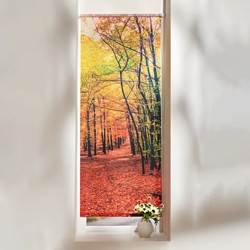 Roller Scena pădurii