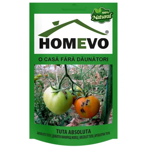 Protectie naturala impotriva moliei Tuta Absoluta la tomate