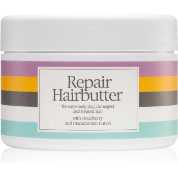 Waterclouds Repair Hairbutter masca detoxifianta pentru par si scalp 250 ml