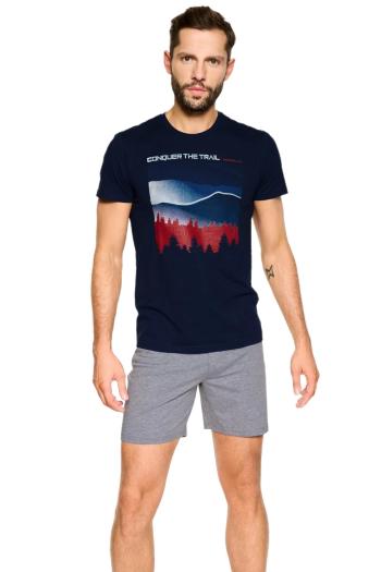 Pijama pentru bărbați 39907 Nature blue