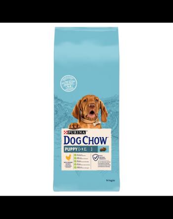 PURINA Dog Chow Puppy hrana uscata caini juniori, cu pui 14 kg
