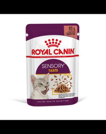 ROYAL CANIN Sensory Taste jelly 24x85 g bucati in sos pentru pisici adulte care stimuleaza experienta gustului