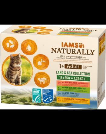 IAMS Naturally Adult Land&amp;sea collection Hrana uscata pentru pisici adulte, cu mix de arome de carne si peste 4 x 85 g