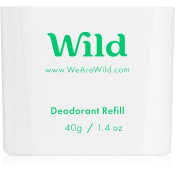 Wild Mint & Aloe Vera deodorant stick rezervă 40 g