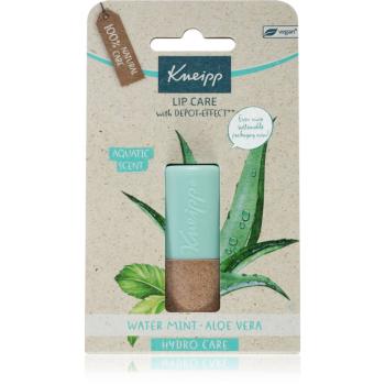 Kneipp Aloe Vera balsam de buze 4.7 g