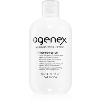 Inebrya Ogenex tratament de reinnoire pentru parul tratat chimic 300 ml