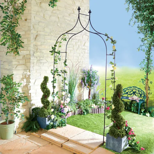 Design pentru plante cățărătoare