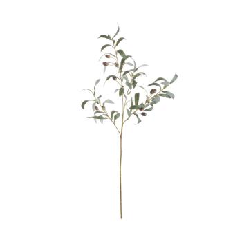 FLORISTA olajág 48 cm