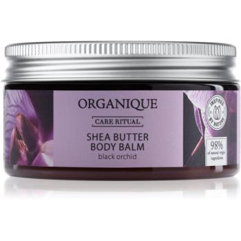 Organique Black Orchid balsam hranitor pentru corp unt de shea 100 ml