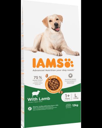 IAMS For Vitality Hrana uscata cu miel pentru cainii adulti de talie mare 12kg