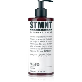 STMNT Care Shampoo sampon pentru curatare pentru barbati 750 ml