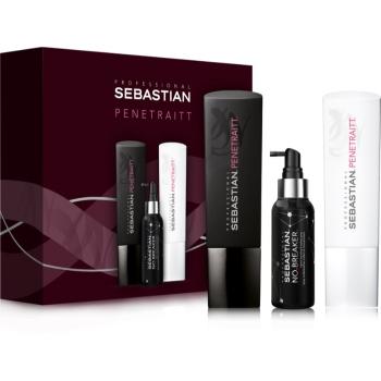 Sebastian Professional Penetraitt set cadou pentru par degradat sau tratat chimic