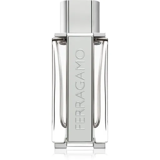Ferragamo Ferragamo Bright Leather Eau de Toilette pentru bărbați 100 ml