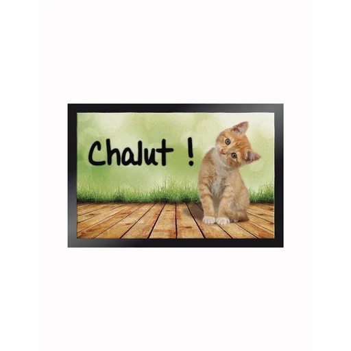 Covoraș interior cu imprimare pisicuță