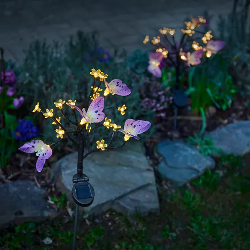 Copac solar cu fluturi