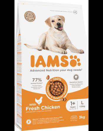 IAMS ProActive Health Adult Large Breed Chicken Hrana uscata caini adulti talie mare, cu pui 3 kg