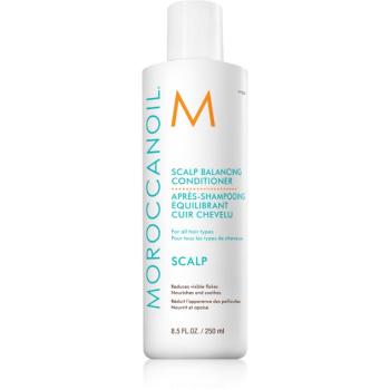 Moroccanoil Scalp Conditioner balsam liniștitor pentru un scalp seboreic antimătreață 250 ml