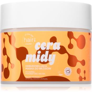 OnlyBio Hair Of The Day Ceramides Regenerating Hair Mask masca regeneratoare s ceramidy a peptidy 280 ml
