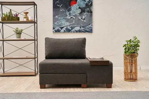 Fotoliu extensibil, Atelier del Sofa, 825BLC4715, Antracit