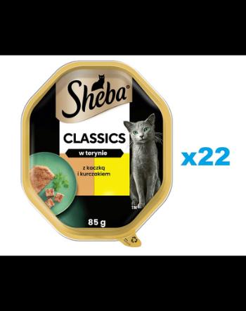 SHEBA Classics 22x85 g tava hrana umeda pisici, rata si pui in terina