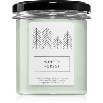 Hagi Winter Forest lumânare parfumată 230 g