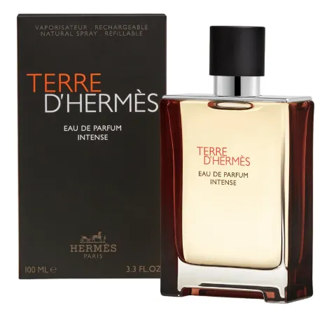 Hermes Terre D`Hermès Intense - EDP (reîncărcabilă) 100 ml