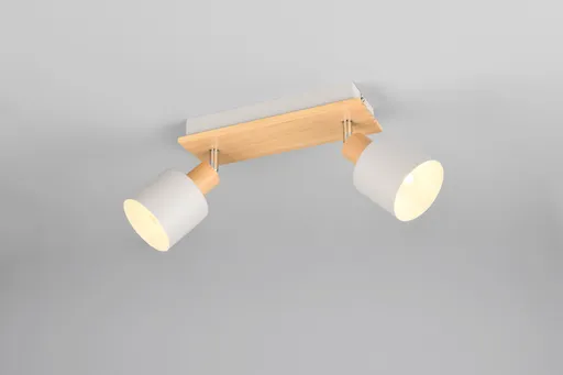 Plafoniera Shanti, TRIO, 30x17.5x19.5 cm, 10W, 2x E14, metal, gri/natur