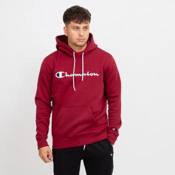 Champion Hooded Sweatshirt S