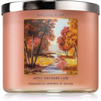 Bath & Body Works Apple Orchard Lane lumânare parfumată 411 g