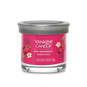 Yankee Candle Lumânare aromatică Signature tumbler mic Red Raspberry 122 g