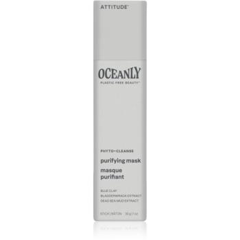 Attitude Oceanly Purifying Mask masca cu argila 30 g