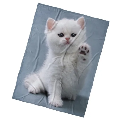 Pătură pentru copii BedTex Pisica Lăbuță, 150 x200 cm