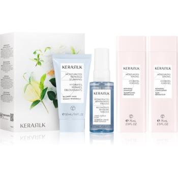 KERASILK Travel Set Seturi pentru voiaj pentru păr